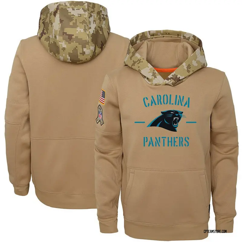 men's carolina panthers salute to service hoodie